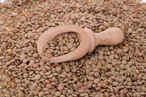 قیمت عدس محلی